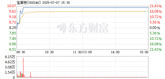 R图 300246_2