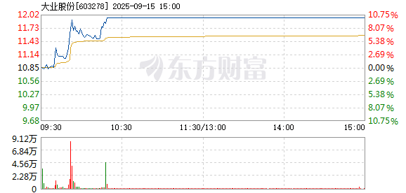 R图 603278_1