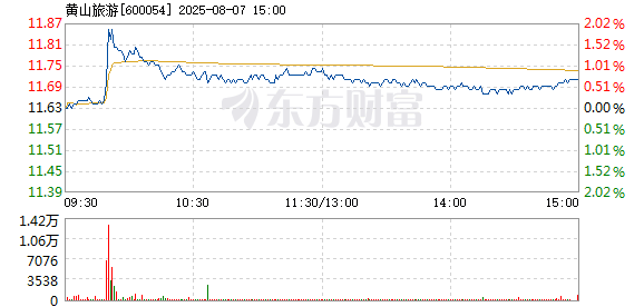 R图 600054_1