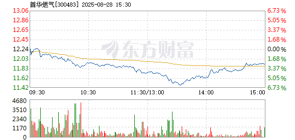 R图 300483_2