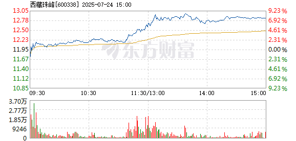 R图 600338_1