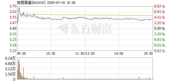 R图 601015_1