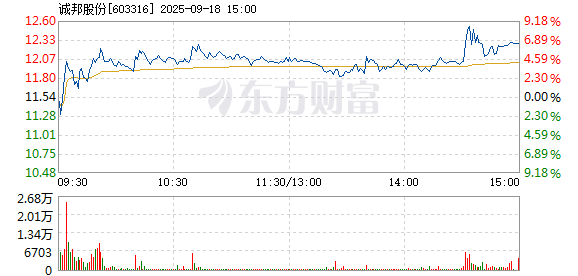 R图 603316_1