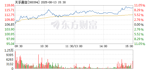 R图 300394_2