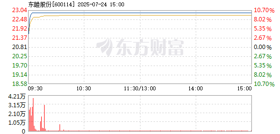 R图 600114_1