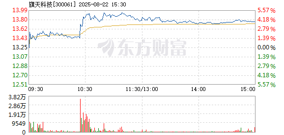 R图 300061_2