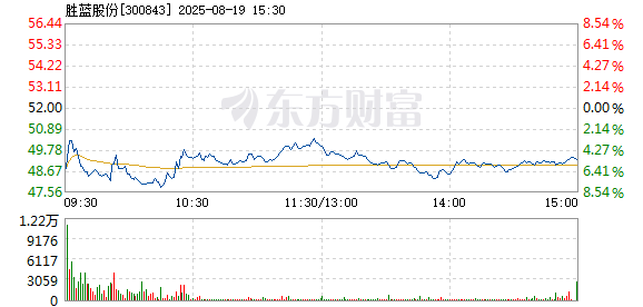 R图 300843_2