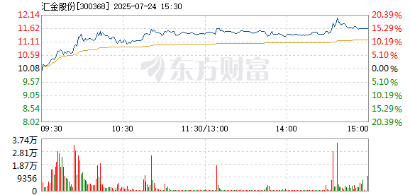 R图 300368_2