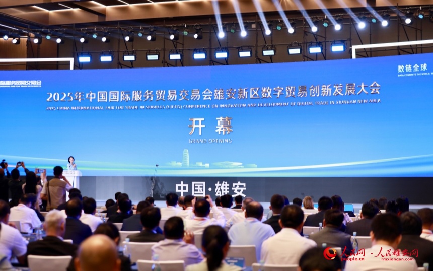 大会现场。人民网记者 