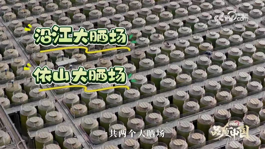 微信图片_20250808224709