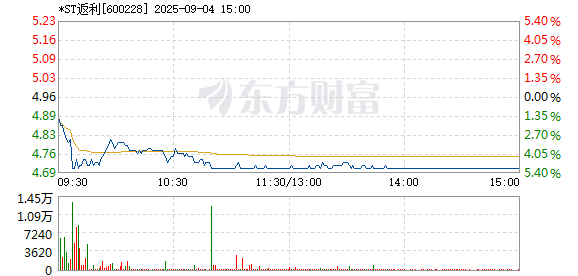 R图 600228_1