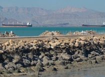 伊朗寻求对通过霍尔木兹海峡的船只征收通行费