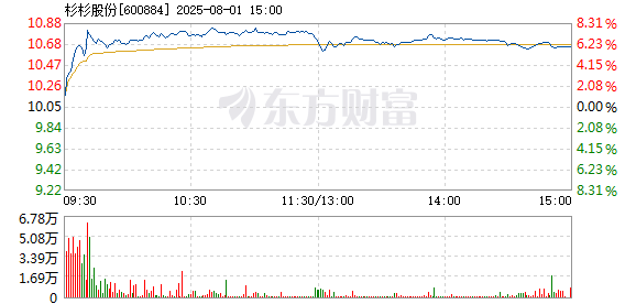 R图 600884_1
