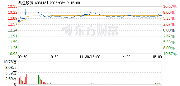 R图 603118_1