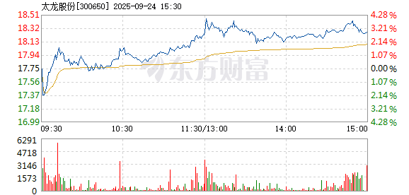 R图 300650_2