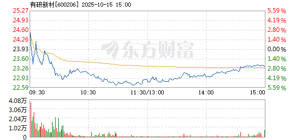 R图 600206_1