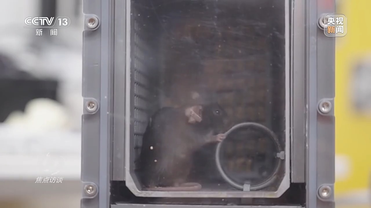 0ee5893c-7cf1-48ef-a26f-43dc30d371c7.jpe