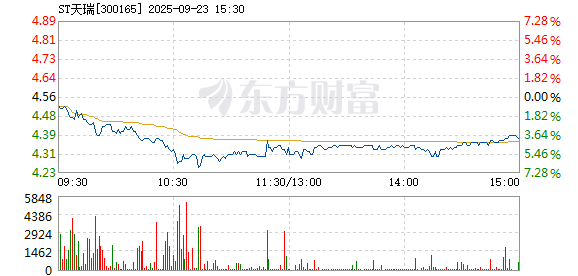 R图 300165_2