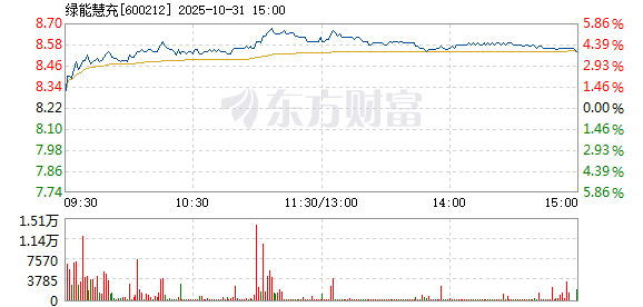 R图 600212_1