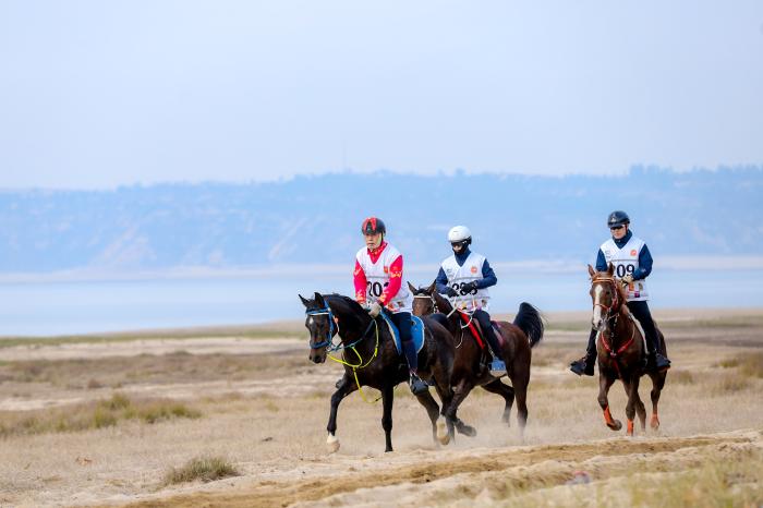 鄱阳湖全国马术耐力锦标赛落幕名将贾惠林任总指挥