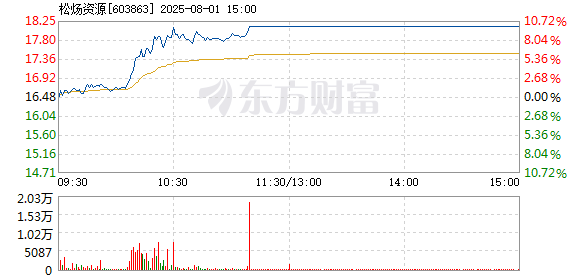 R图 603863_1