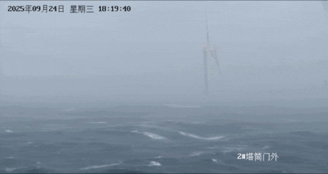 动图3天成号.gif