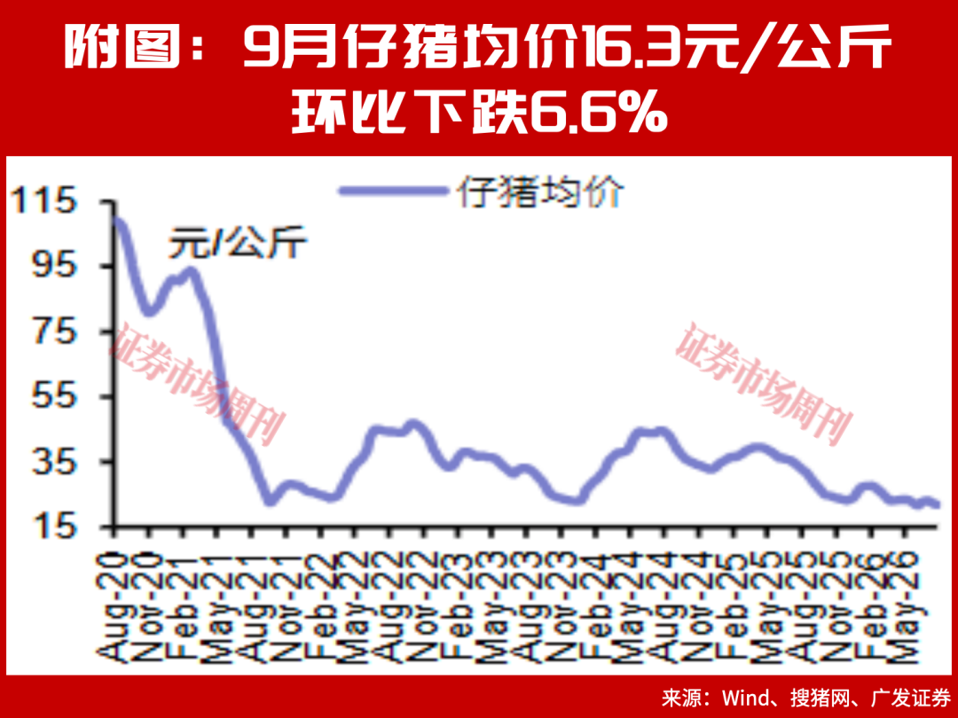 磨底12个月创历史纪录，猪周期反转在即?