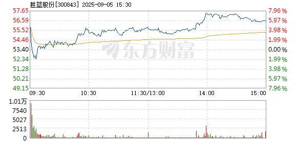 R图 300843_2