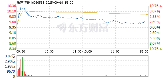 R图 603058_1