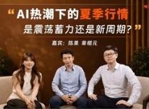 AI热潮下，夏季行情是震荡蓄力还是新周期？｜对话陈果、章椹元