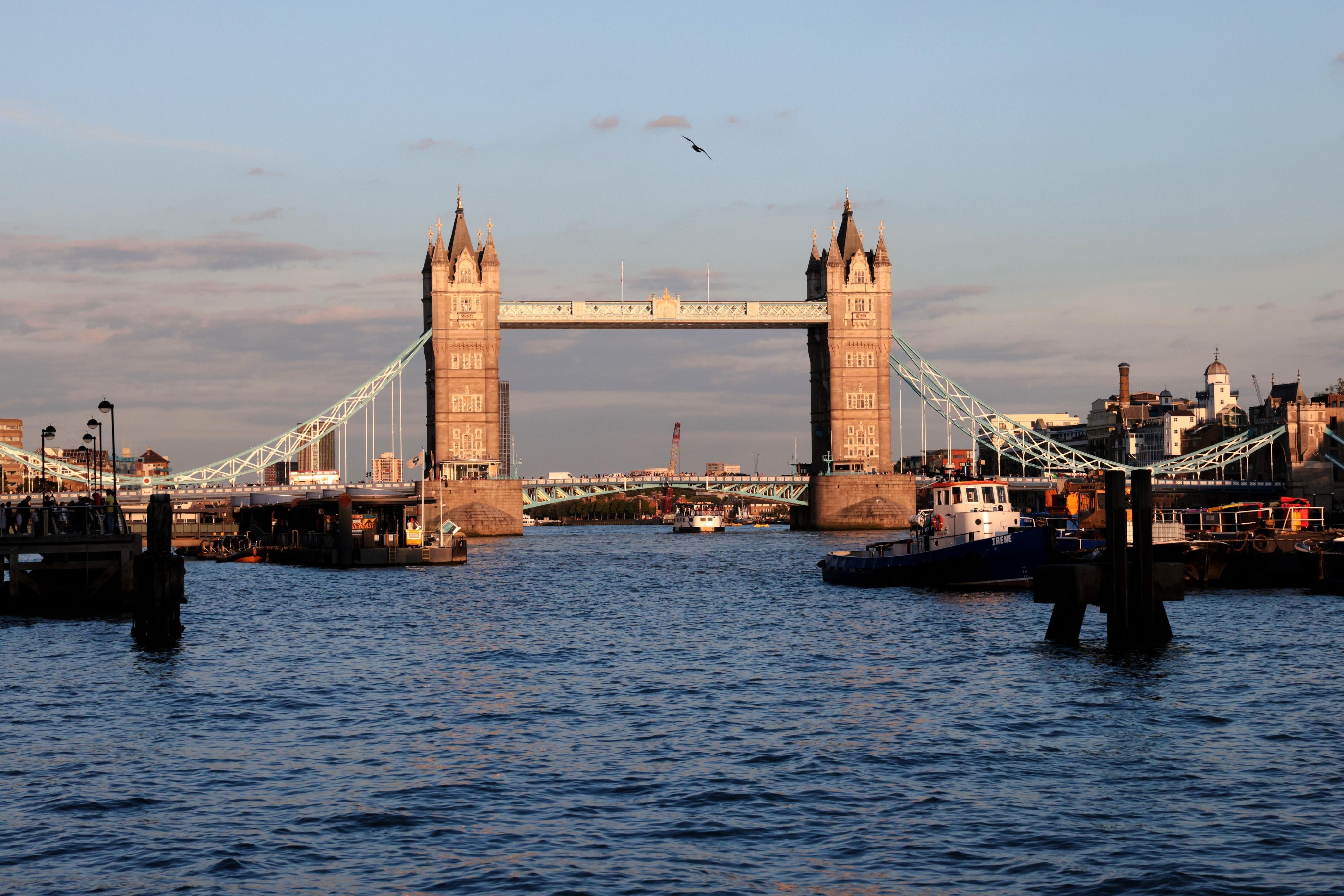 411328904322969601.jpg 411328904322969601.jpg