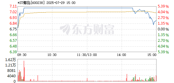 R图 600238_1