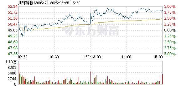 R图 300547_2
