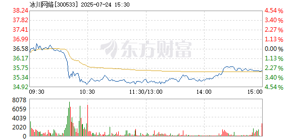 R图 300533_2