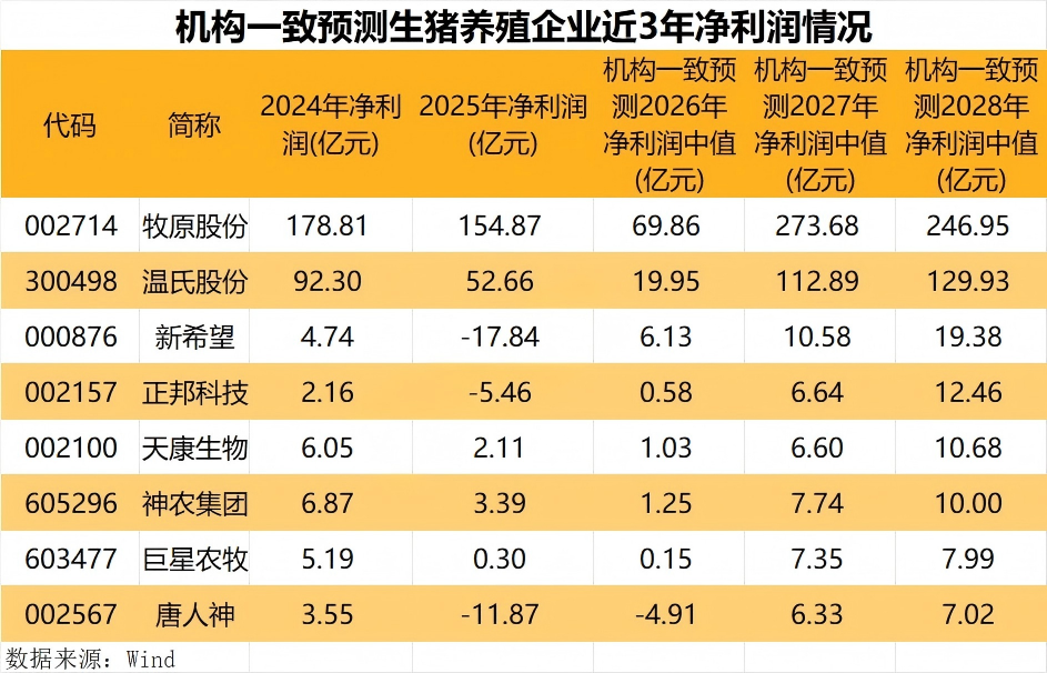 猪价持续磨底 拐点何时到来？机构一致预测数据或透露关键信号
