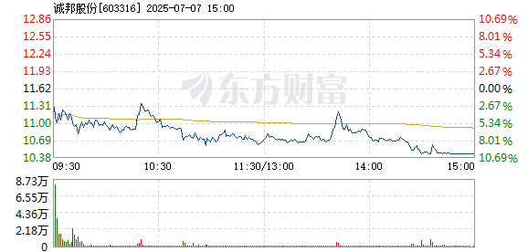 R图 603316_1