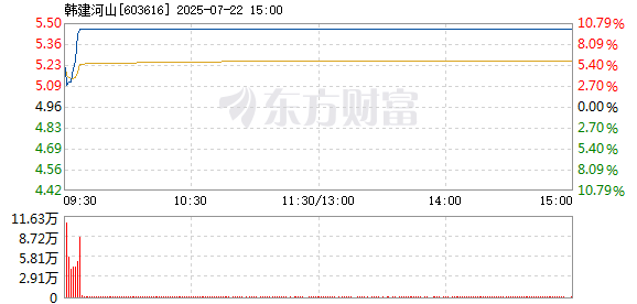 R图 603616_1