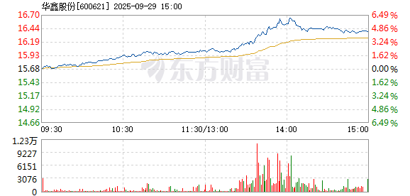 R图 600621_1