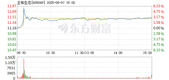 R图 605069_1
