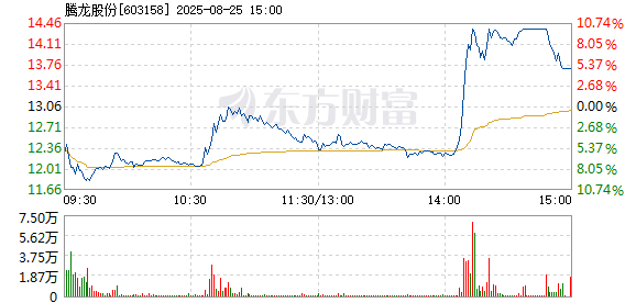 R图 603158_1