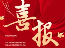 露笑科技突传喜报！12英寸碳化硅取得关键性进展！