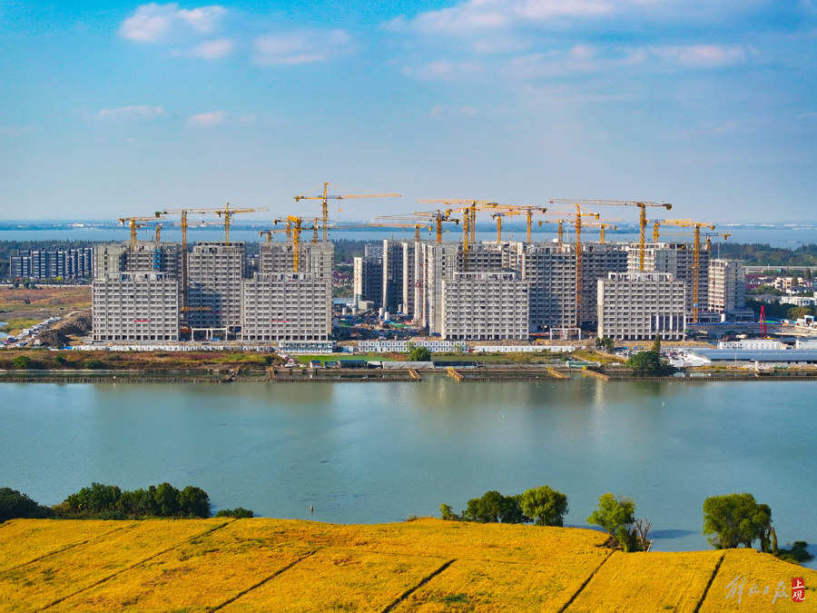 华为青浦西岑公寓项目主体结构完成建成后可入住15万人