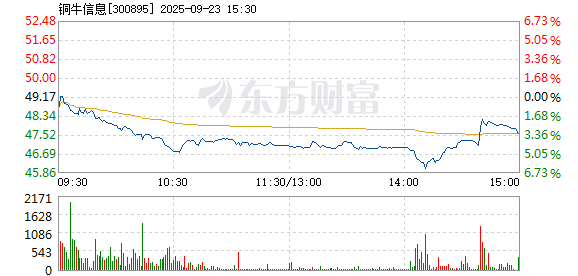 R图 300895_2