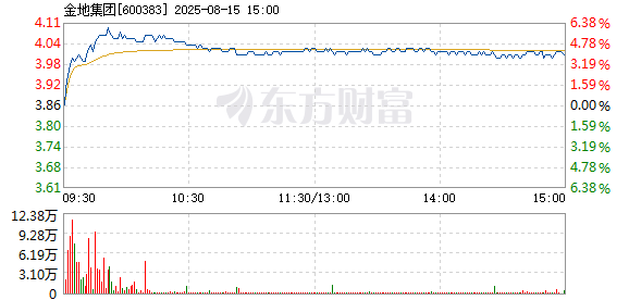 R图 600383_1