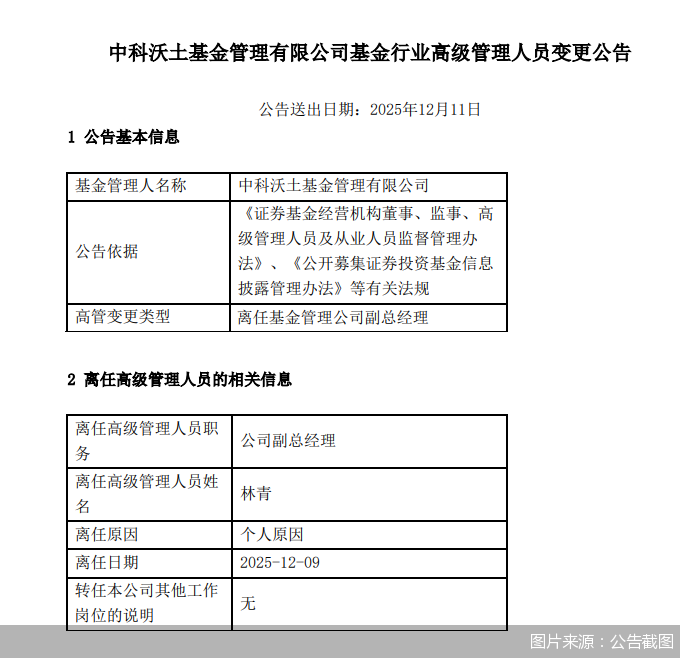 图片来源:公告截图