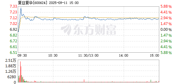 R图 600624_1