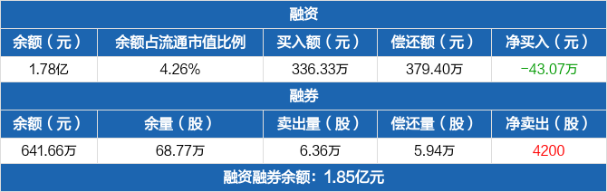 新雷能:融资净偿还43.07万元,融资余额1.78亿元(07-05)